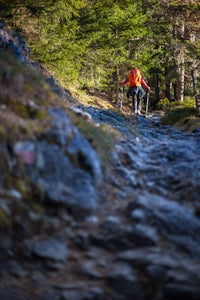 woman hiking in forest