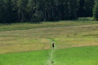 person in red shirt walking on green grass field during daytime