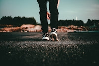 person in black pants and white and black sneakers standing on black asphalt road during daytime